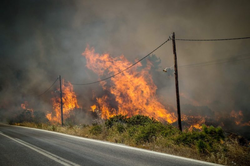 Φωτιά σε Δασική Έκταση στην Εφύρα Ηλείας με Μεγάλες Δυνάμεις Κατάσβεσης