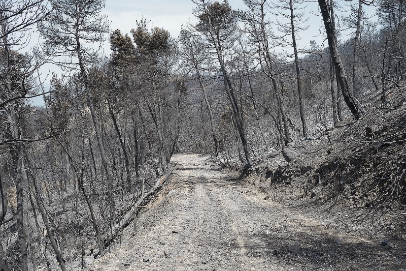 Επιχείρηση Εντοπισμού Χαμένου Γερμανού Τουρίστα στην Κρήτη