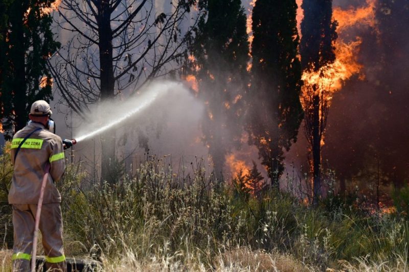 Φωτιά σε δασική περιοχή στο Μελενικίτσι Σερρών με ισχυρές πυροσβεστικές δυνάμεις στην επιχείρηση κατάσβεσης